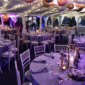 Party Marquee Hire